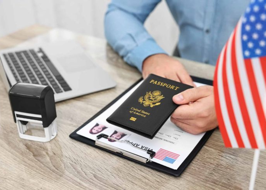 Professional Visa Services Professional visa service consultation for international travel