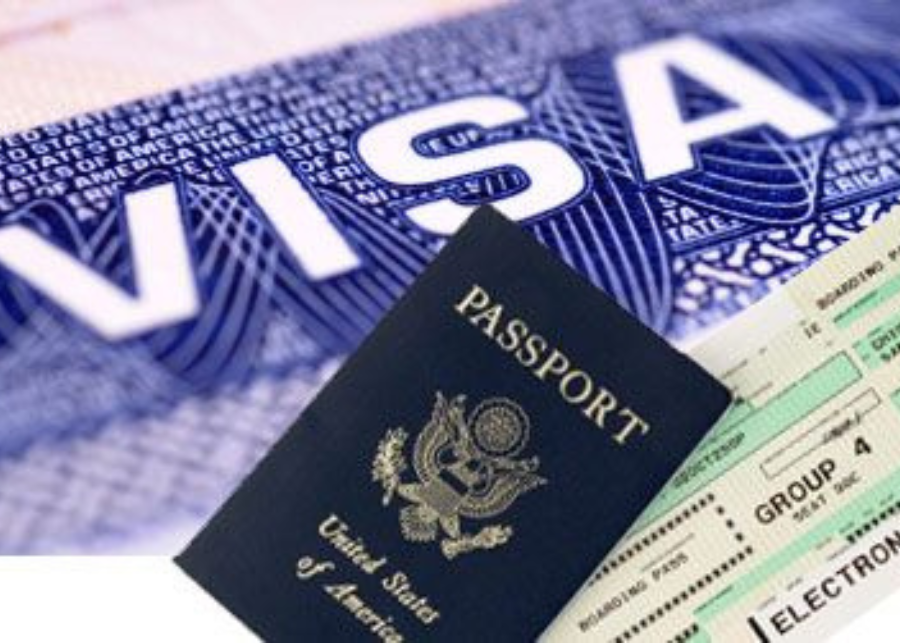 Professional Visa Services Professional visa service consultation for international travel